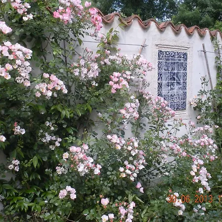 Moulin De Larcy * 里贝拉克