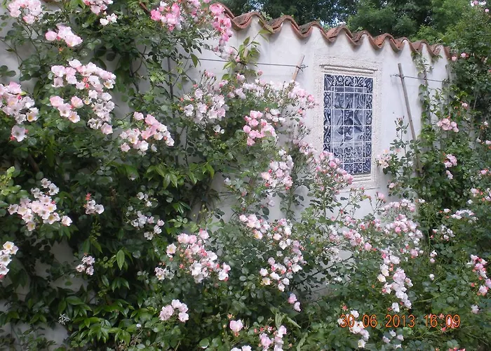 Moulin De Larcy * Ribérac